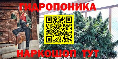 гидропоника Гусь-Хрустальный