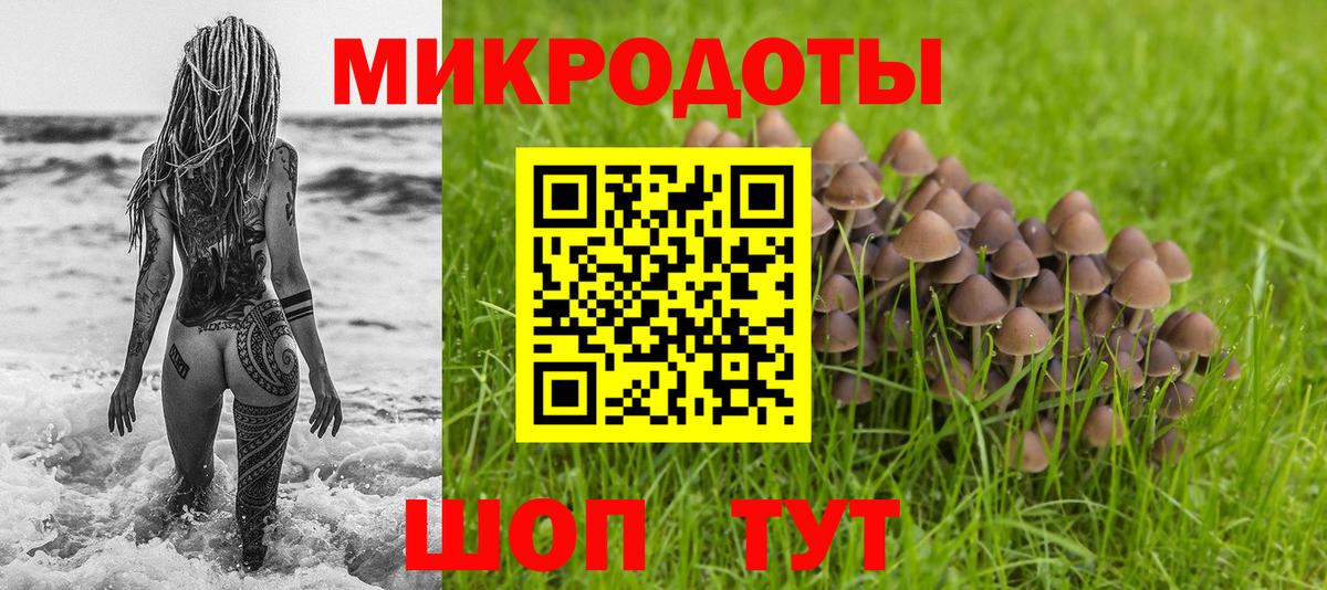 Псилоцибиновые грибы GOLDEN TEACHER Назарово